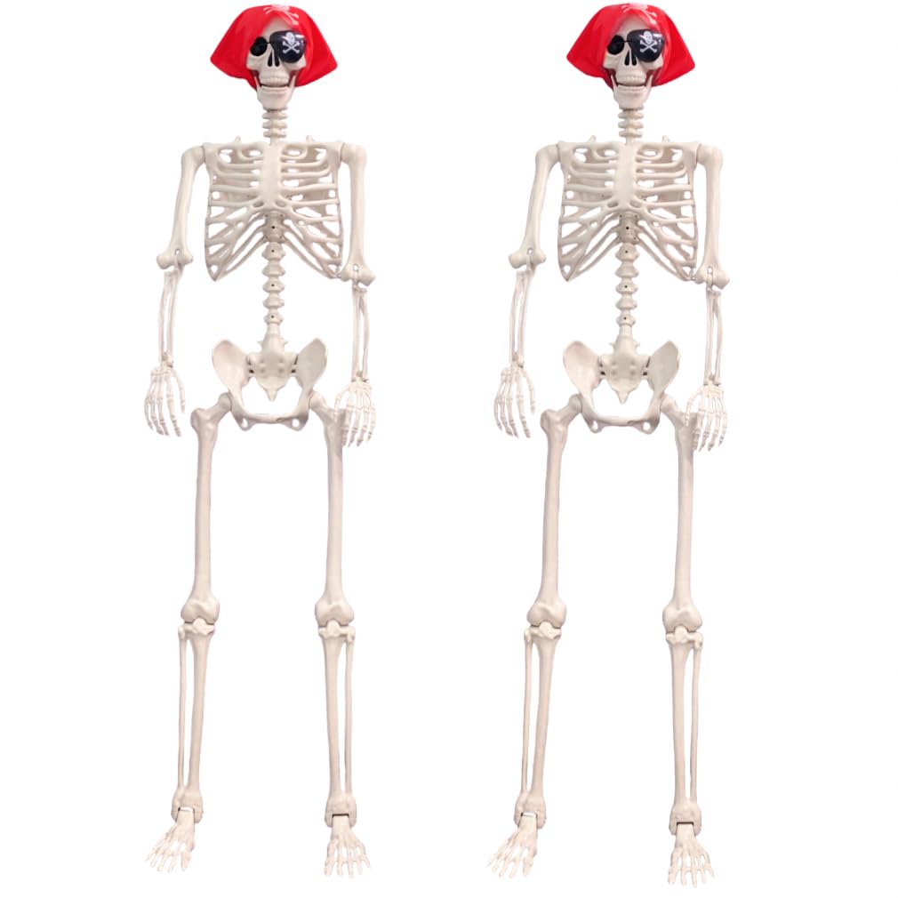 Life Size Posable Skeleton Decoration S76946
