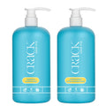 Shampoo and Conditioner Set, 33.8 oz Each T439