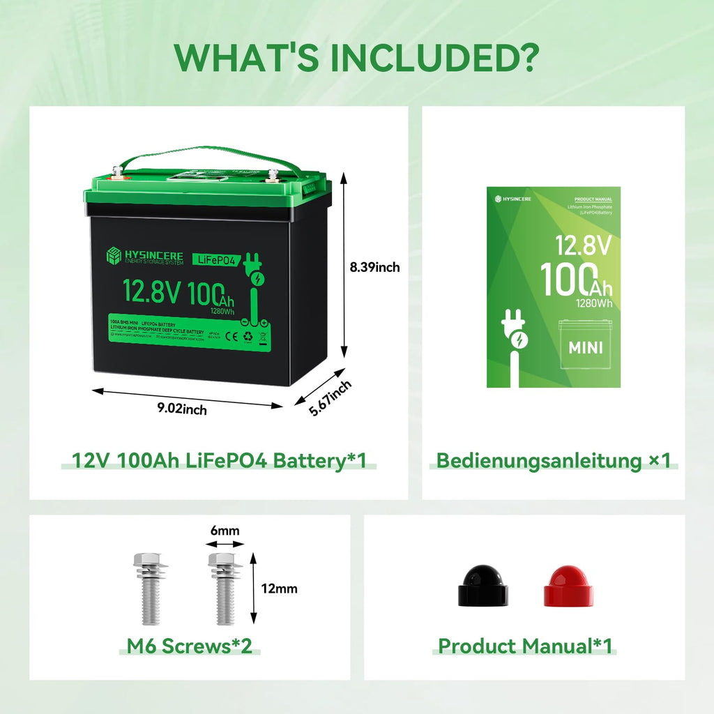 12V 100Ah LiFePO4 Lithium Battery with 100A BMS X787647
