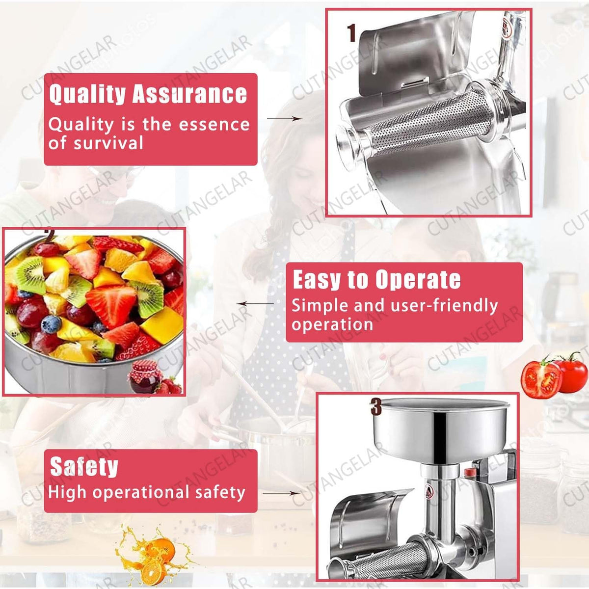 450W Electric Food Press with Steel Filter R97969