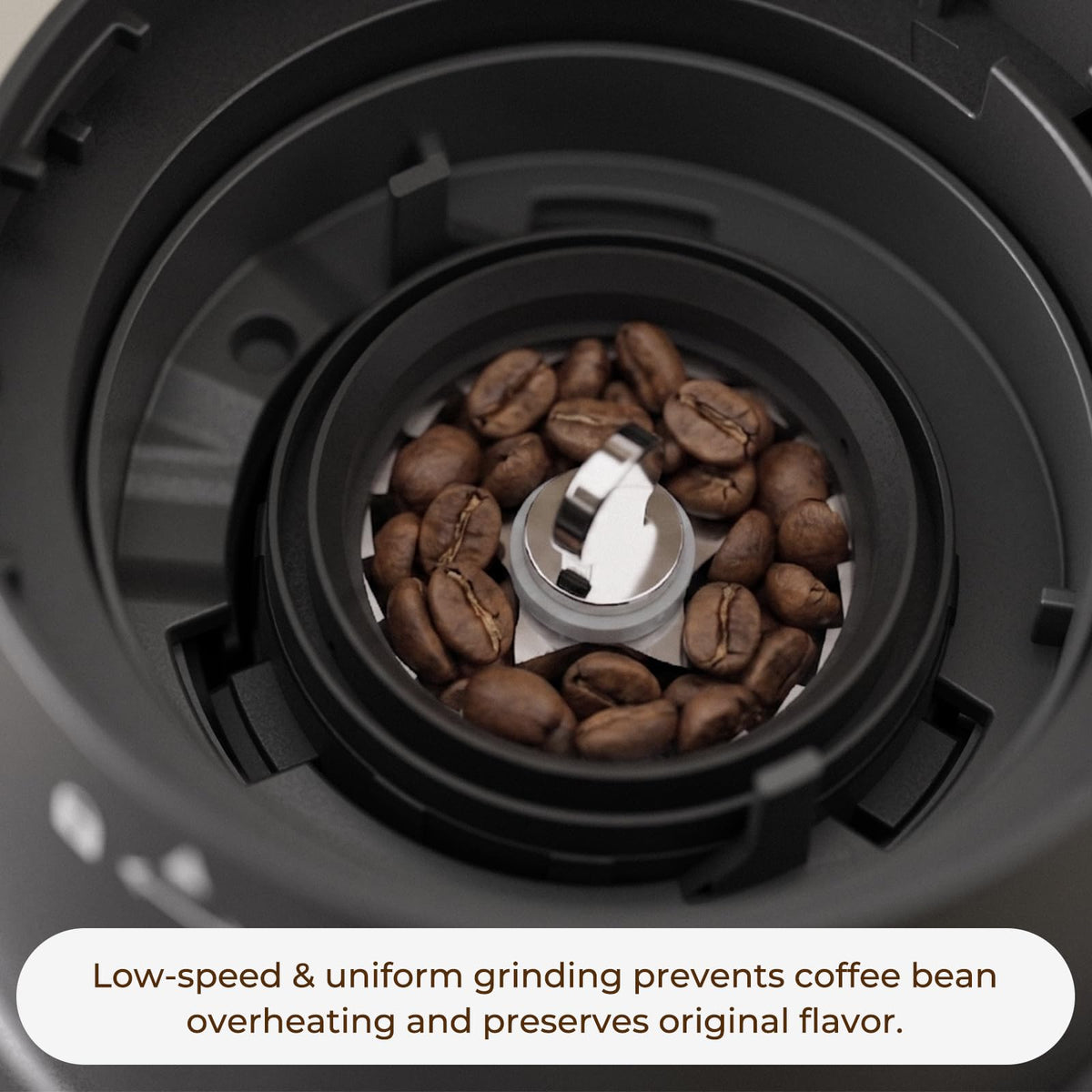 Conical Burr Coffee Grinder, 60 Settings, Black U7177