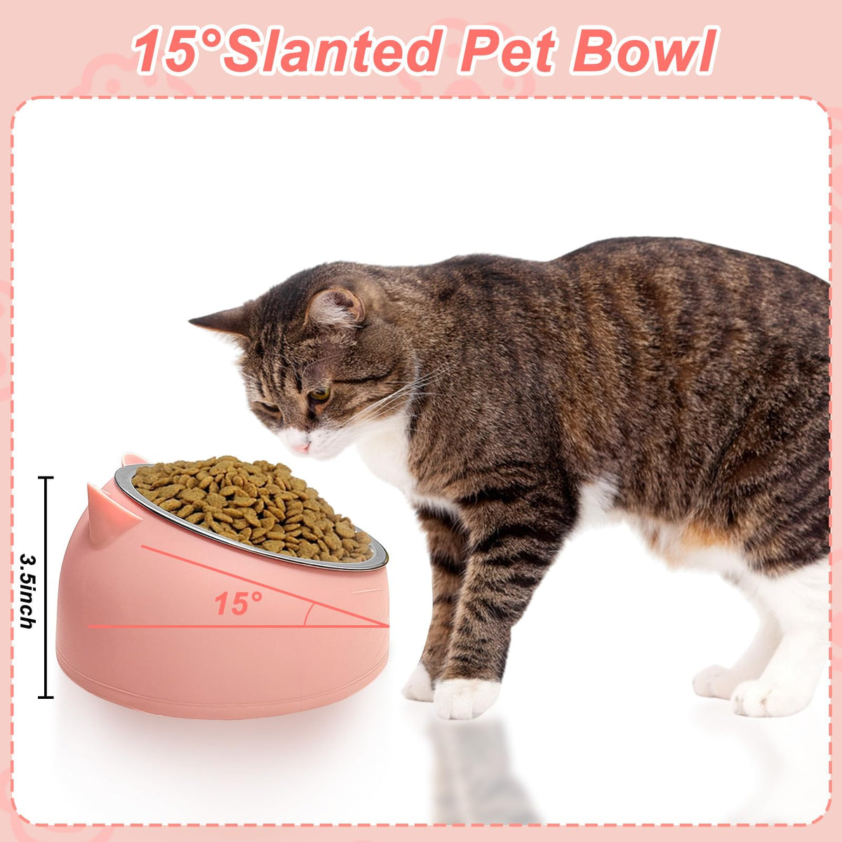 7 Pcs Stainless Steel Raised Cat Food Bowl D5911