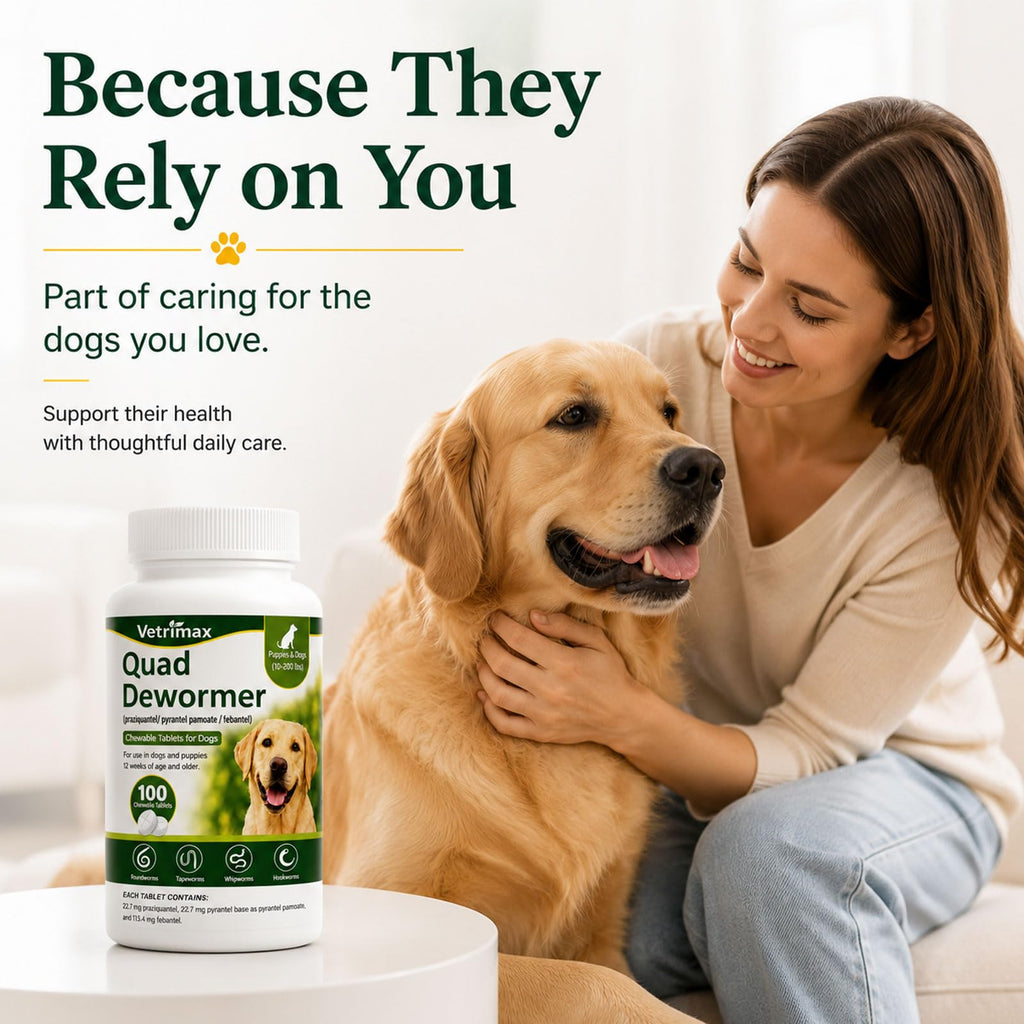Dewormer for Dogs, 4-Way Wormer, 100 Count E3996
