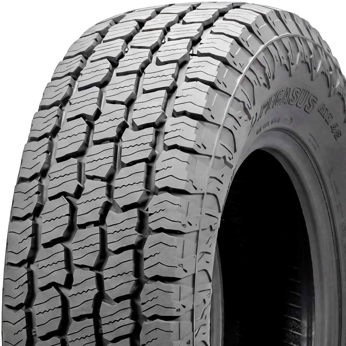 275/55R20 117T XL All Terrain Tire I9282