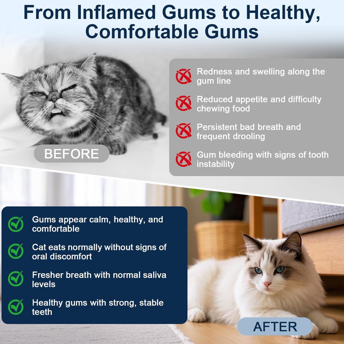 Cat Oral Care R700