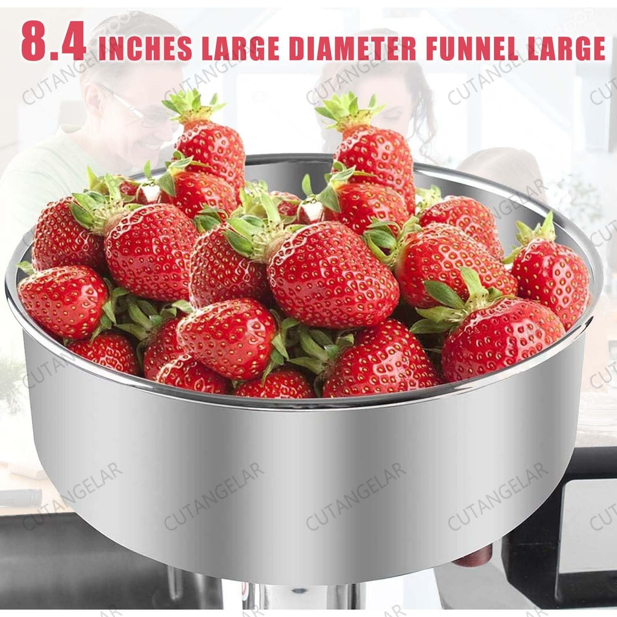 450W Electric Food Press with Steel Filter R97969