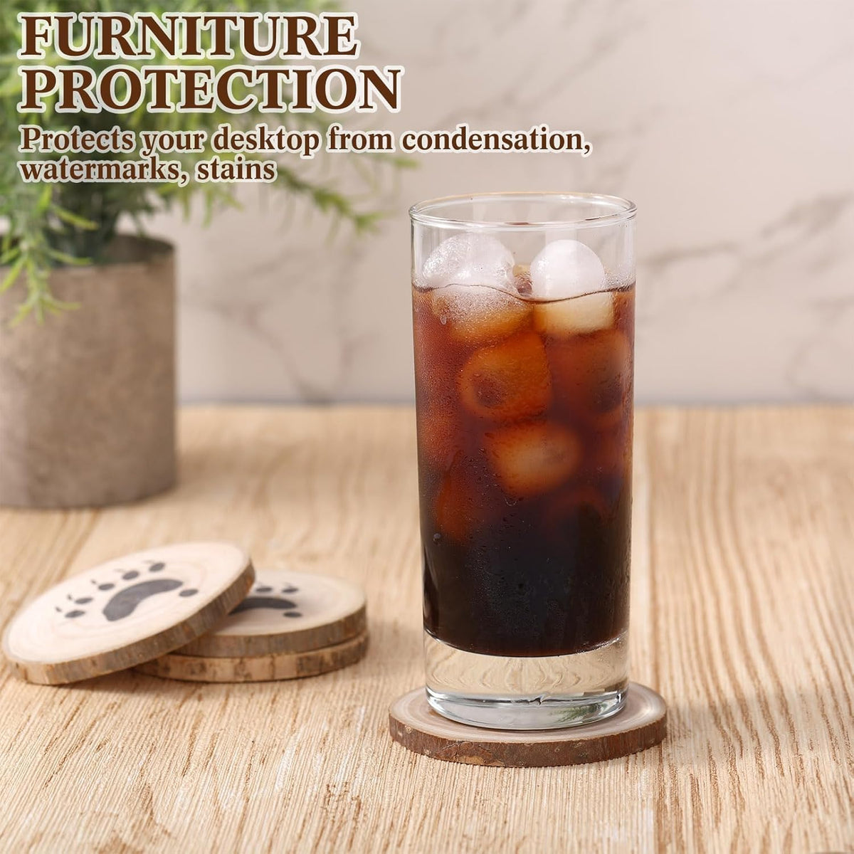 Black Bear Coasters Set of 6 L5455