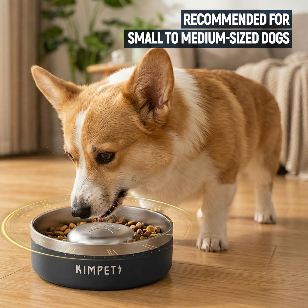 Black 2 Cups Stainless Steel Non-Slip Dog Slow Feeder Bowl K5410