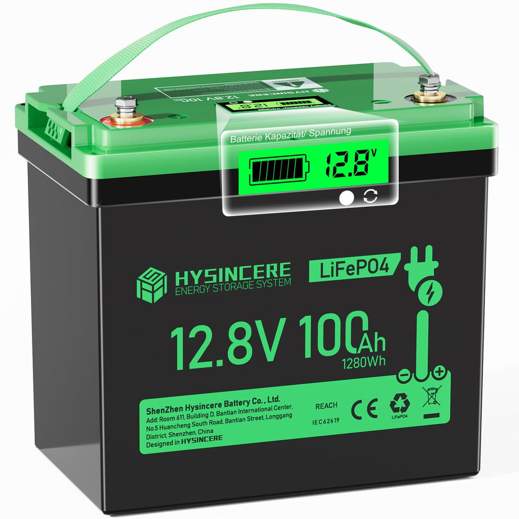 12V 100Ah LiFePO4 Lithium Battery with 100A BMS X787647