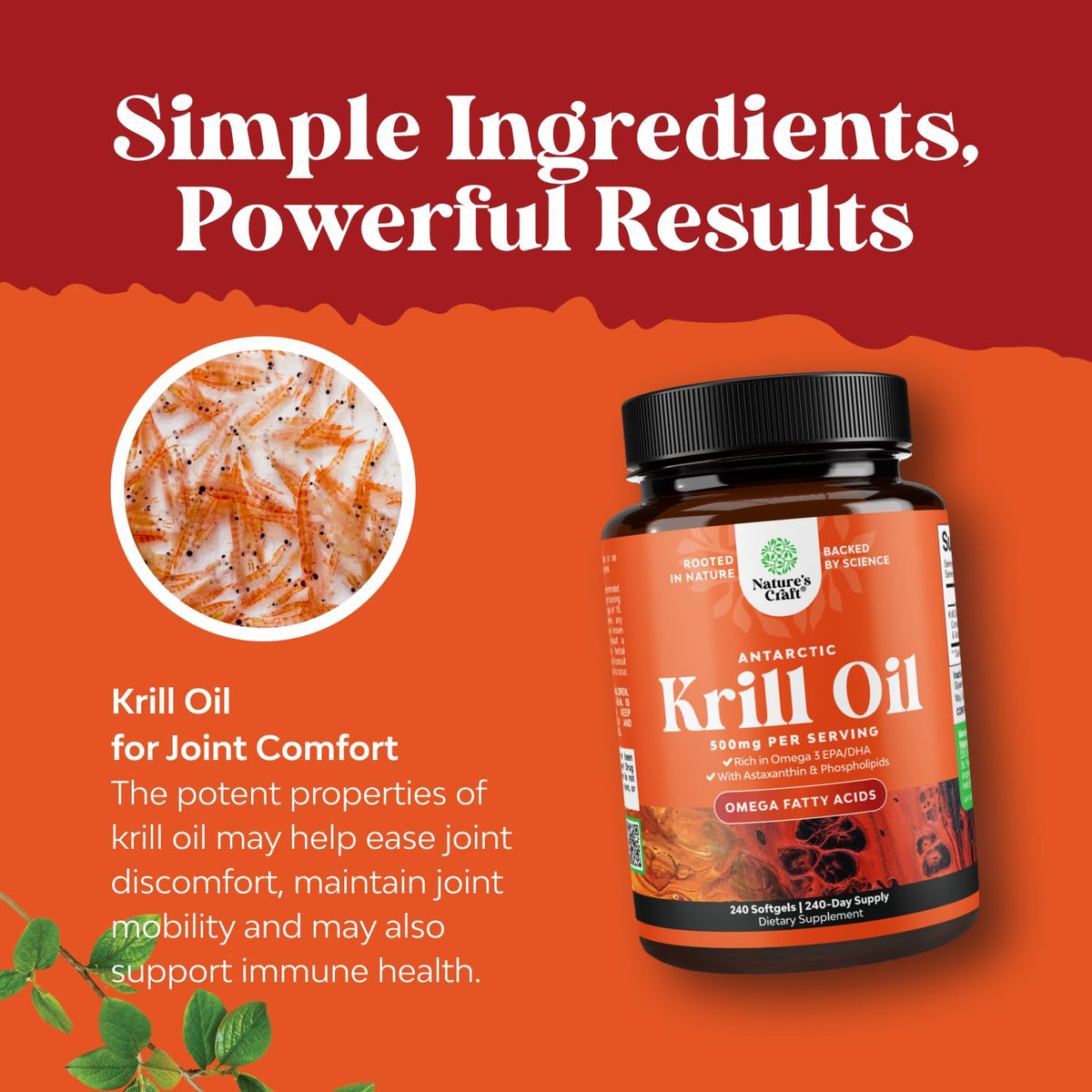 Krill Oil Softgels Omega 3 Supplement 240 Count D446841