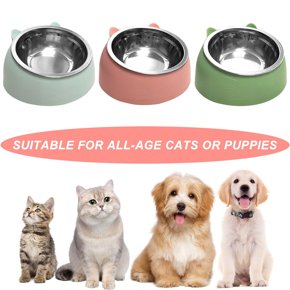 7 Pcs Stainless Steel Raised Cat Food Bowl D5911