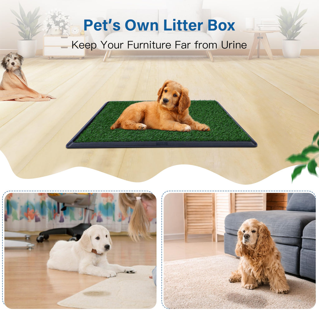 20"x25" Artificial Grass Dog Potty Pad with Tray L29620