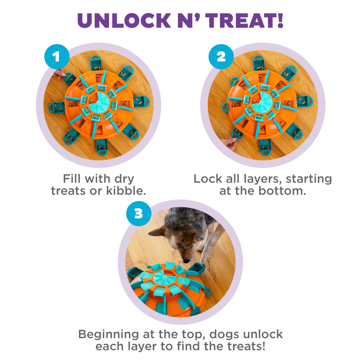 Dog Toy Treat Puzzle C23855