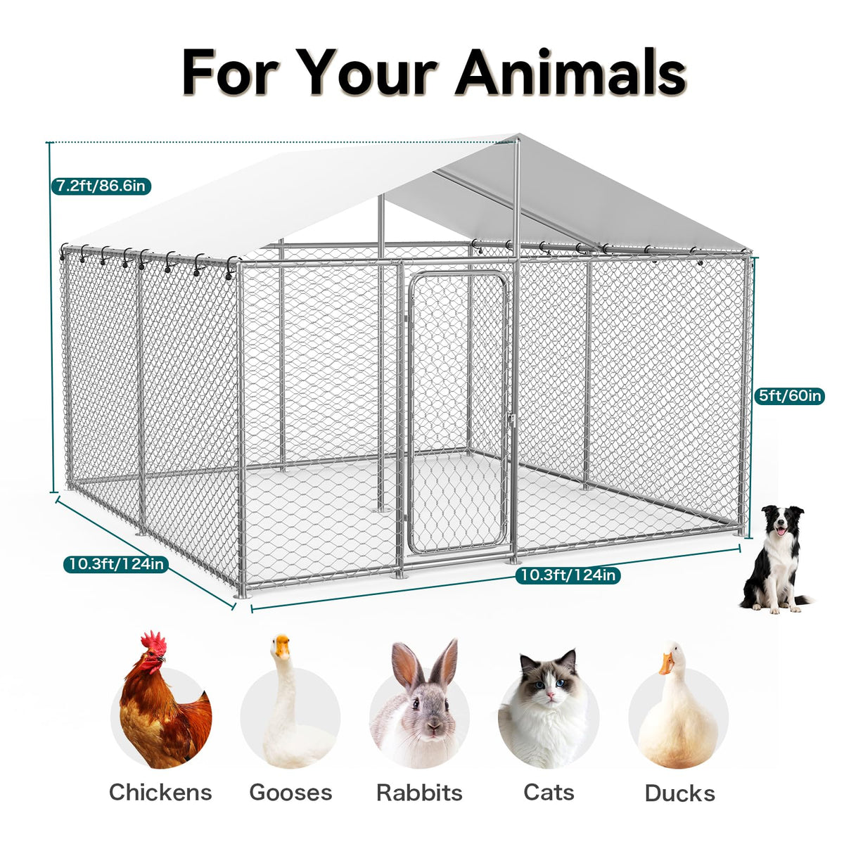 10x10 FT Outdoor Dog Kennel with Roof J152