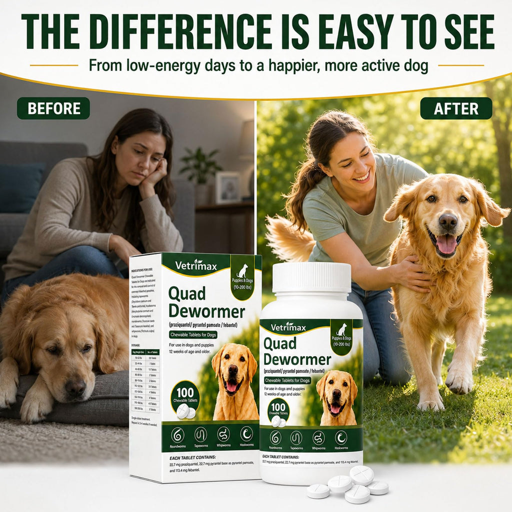 Dewormer for Dogs, 4-Way Wormer, 100 Count E3996