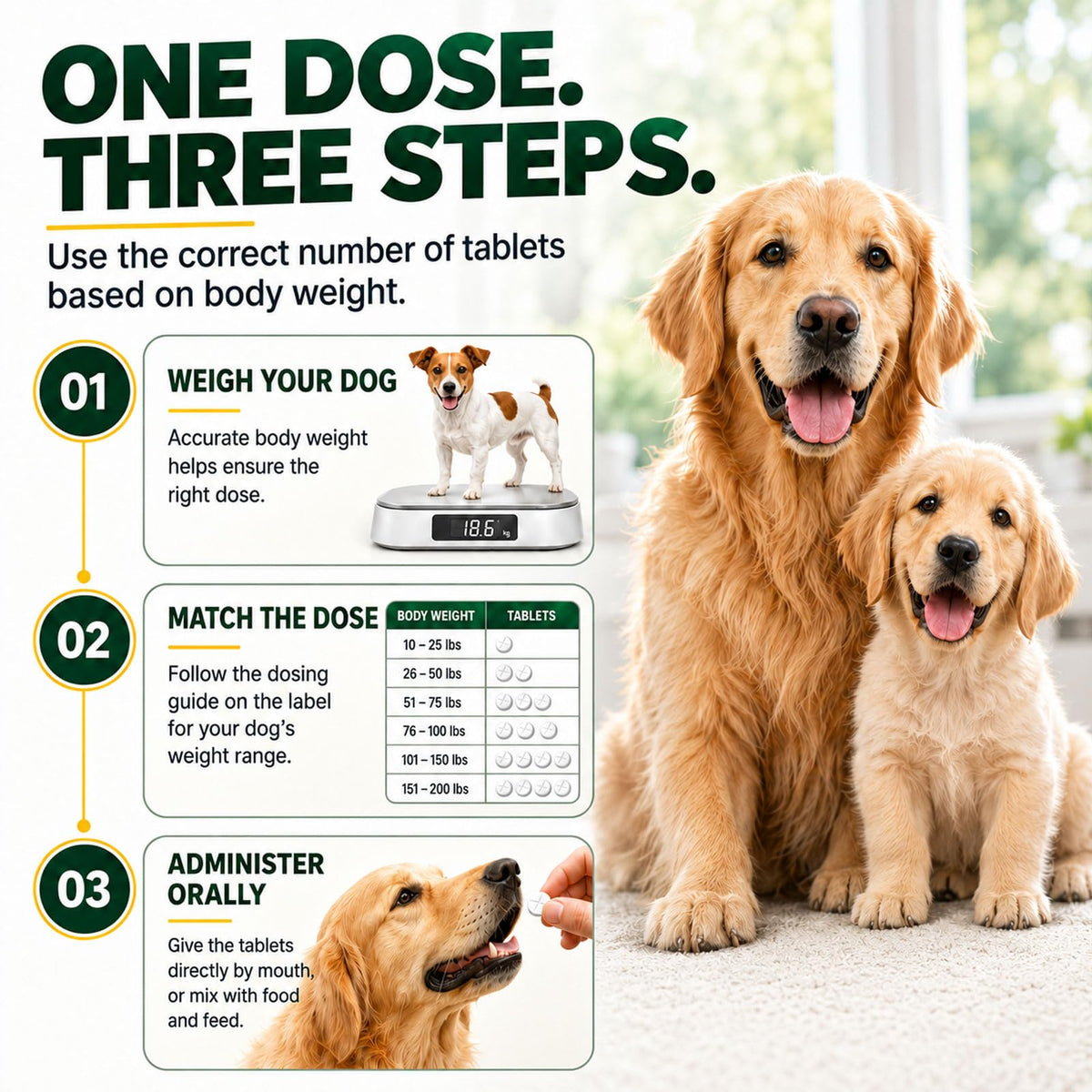 Dewormer for Dogs, 4-Way Wormer, 100 Count E3996