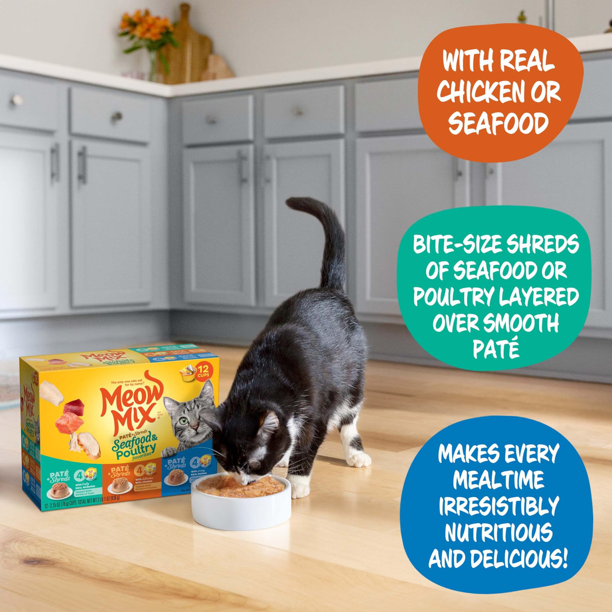 Dry Cat Food 6.3 Pound Bag + Wet Cat Food Variety Pack 2.75 Ounce Cups P867