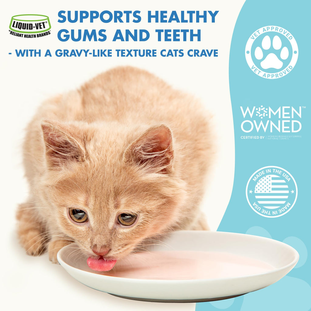 Cat Teeth Cleaning Dental Care Q657922