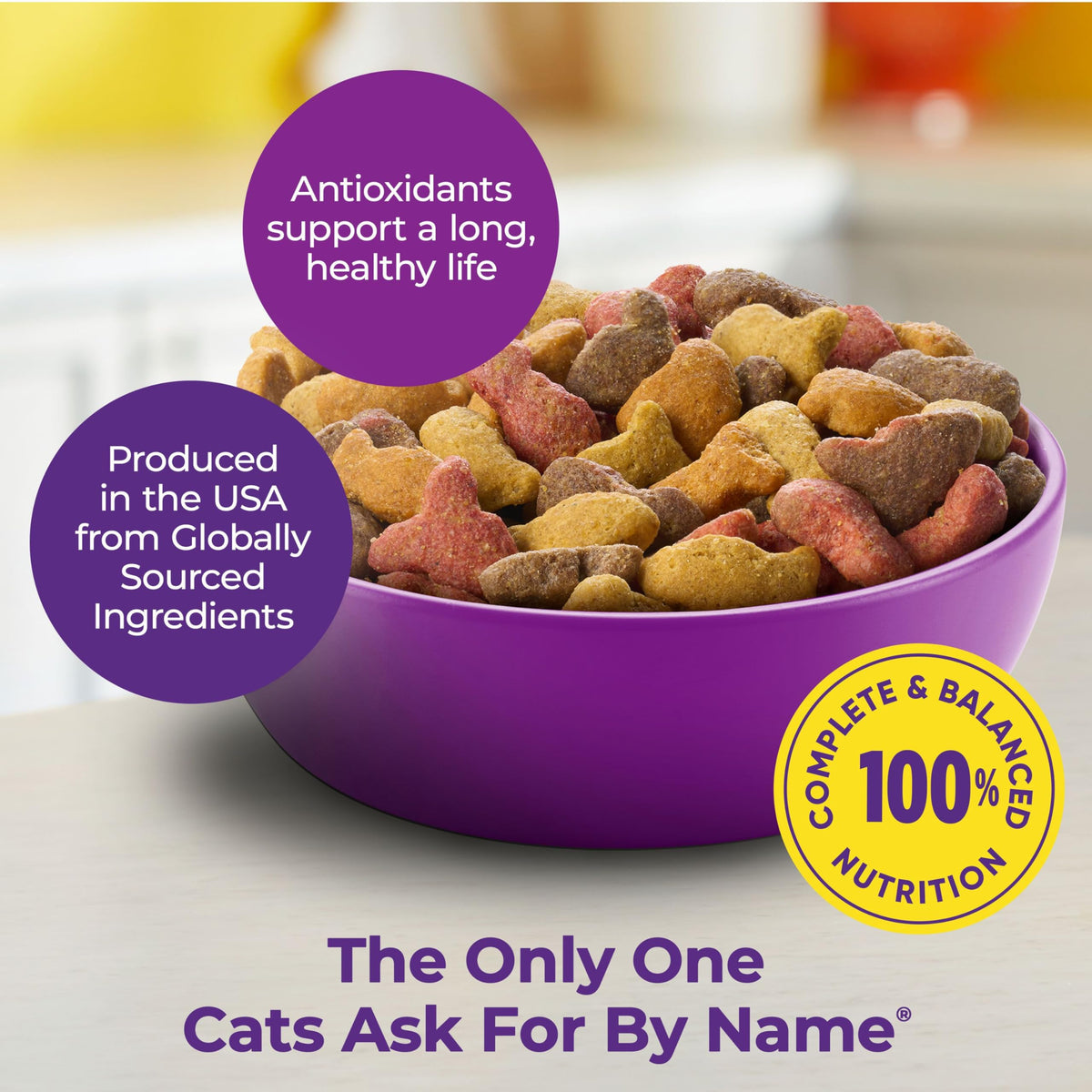 Dry Cat Food 6.3 Pound Bag + Wet Cat Food Variety Pack 2.75 Ounce Cups P867