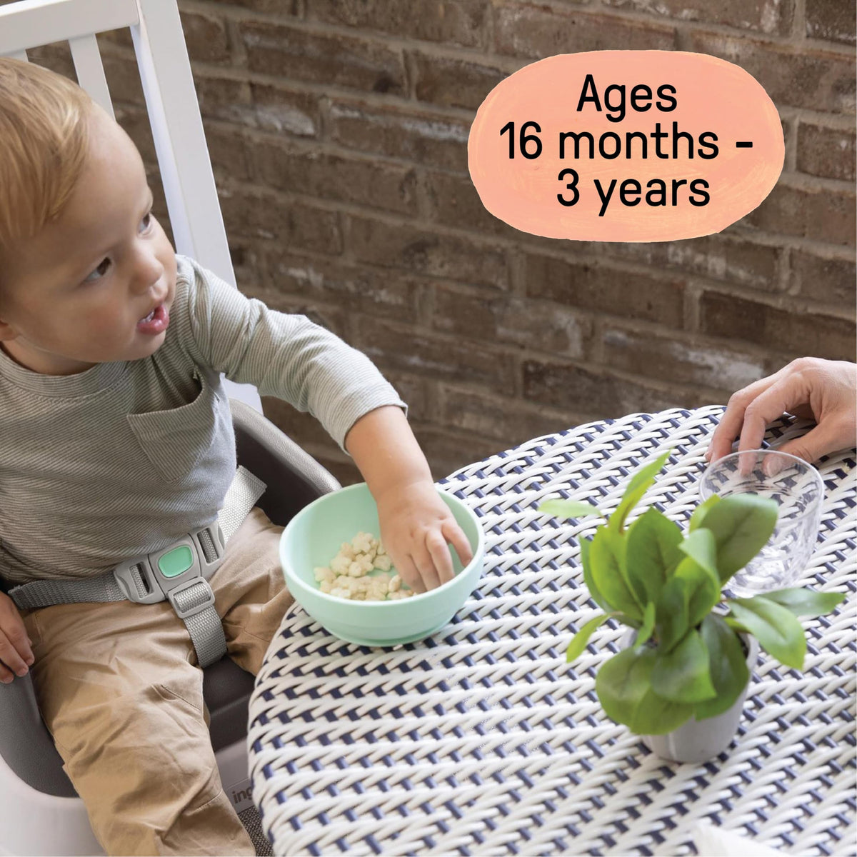 Lightweight Easy-Clean Toddler Booster Seat S7101