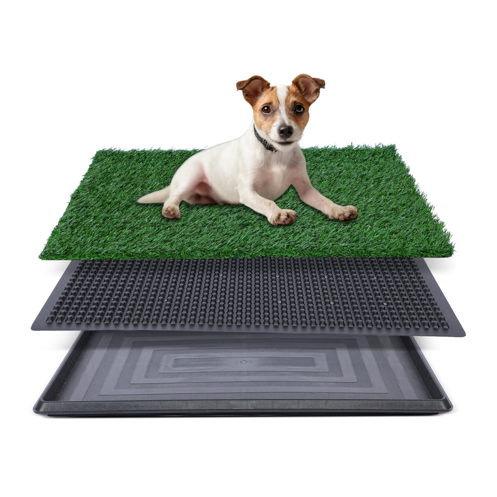 20"x25" Artificial Grass Dog Potty Pad with Tray L29620