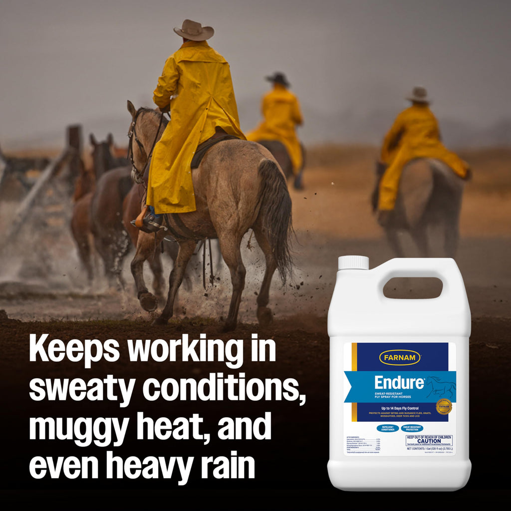Fly Spray for Horses 128 oz Refill K249