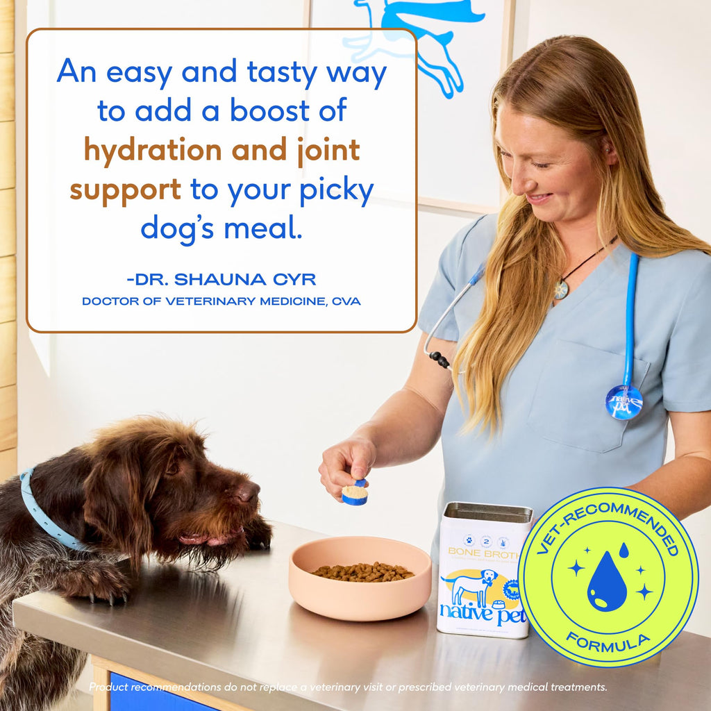 Beef Bone Broth Dog Food Topper W376