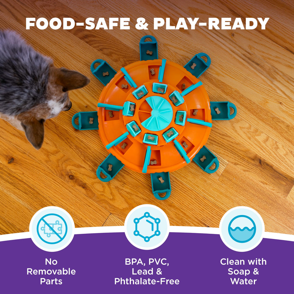 Dog Toy Treat Puzzle C23855
