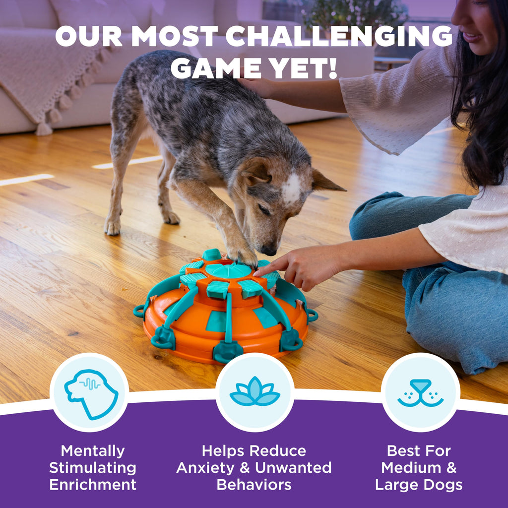 Dog Toy Treat Puzzle C23855